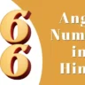 3636 Angel Number in Hindi