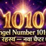 Angel Number 1010 Hindi