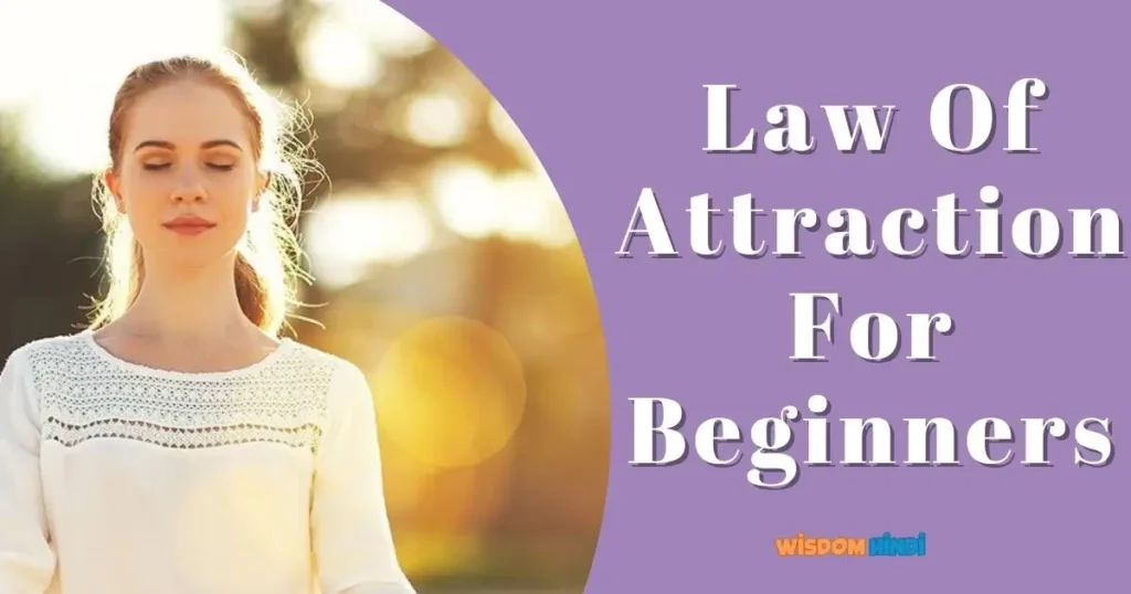 Law Of Attraction For Beginners