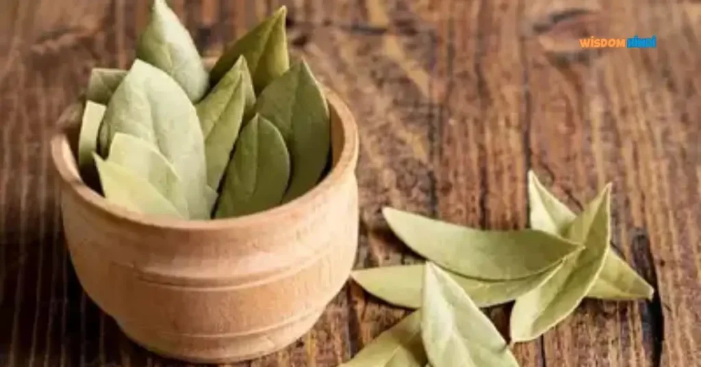 Bay Leaf Manifestation: तेज पत्ते से मेनिफेस्टेशन के 8 तरीके Bay Leaf Manifestation In Hindi