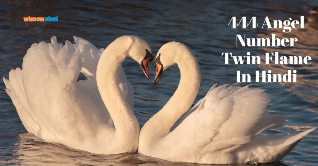 444 Angel Number Twin Flame देता है मजबूत रिश्ते का संकेत 444 Angel Number Twin Flame