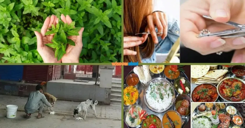 Vaishakh Amavasya: वैशाख अमावस्या पर भूलकर भी ना करें ये काम Vaishakh Amavasya ke din kya na kare