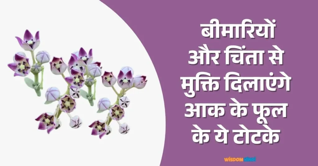 Aak Ke Phool Ke Totke