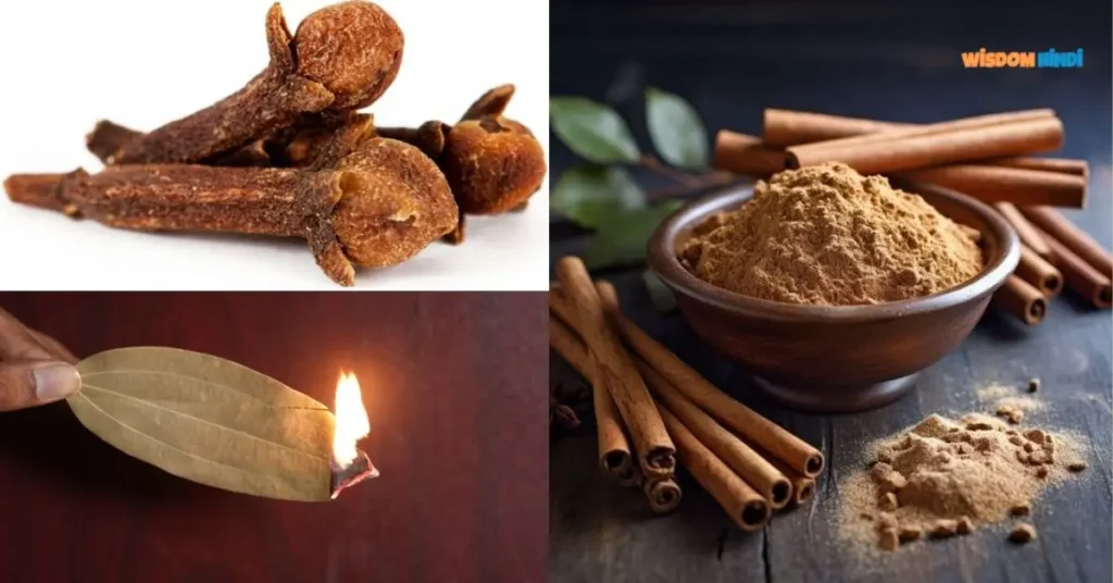 Bay Leaf Manifestation For Money: स्पेसिफिक मनी अट्रैक्ट करने की अचूक टेक्निक Bay Leaf Manifestation For Money