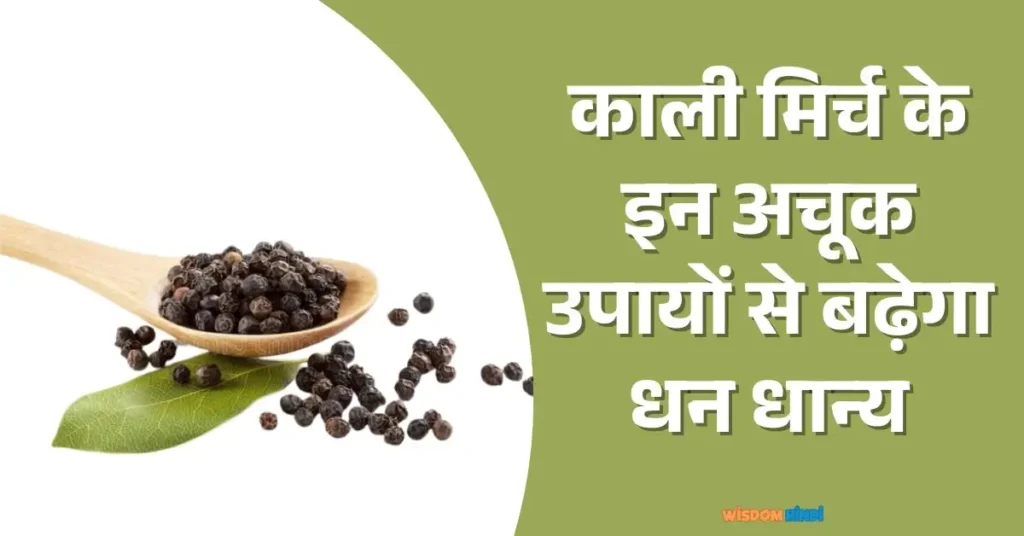 काली मिर्च के इन अचूक उपायों से बढ़ेगा धन धान्य Kali Mirch Se Dhan Prapti Ke Upay