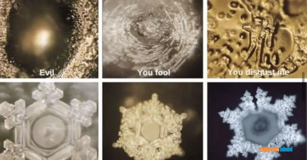 masaru emoto water experiment