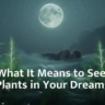 Dreaming of Plants