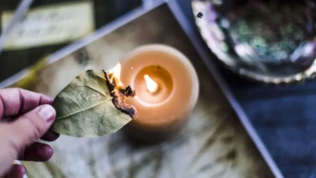 Manifest Your Dreams with the Help of Bay Leaves on the 8/8 Portal How to Manifest with Bay Leaf on Lions Gate Portal