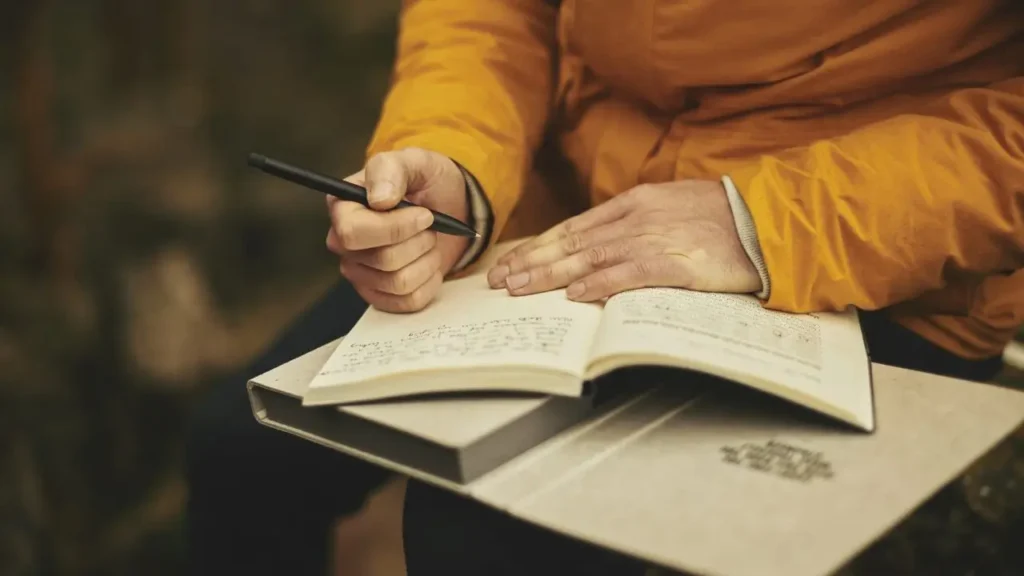 Lions Gate Portal Manifestation Journaling