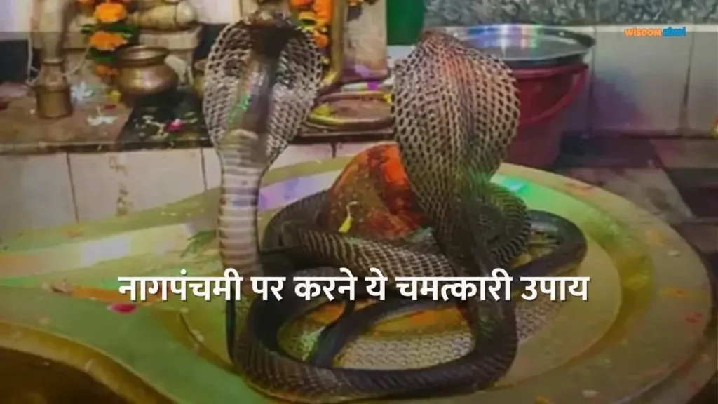 नाग पंचमी पर करें यह विशेष उपाय आर्थिक सफलता और ग्रह शांति Nag Panchami Ke Upay