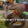 Nag Panchami Ke Upay