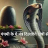 Nag Panchami Mantra