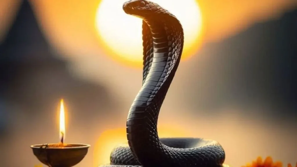 नाग पंचमी पर करें इन मन्त्रों का जाप दूर होंगे ग्रह दोष, कालसर्प दोष औऱ जगाएं कुंडलिनी की शक्ति Nag Panchami Mantras