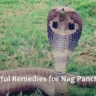 Nag Panchami Remedies