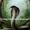 Nag Panchami Mantras