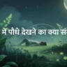 Seeing Plants in Dreams in Hindi
