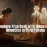 Pitru Dosha Remedies