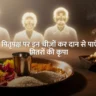 Pitru Paksha Daan