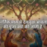 Kartik Maas Amla Puja