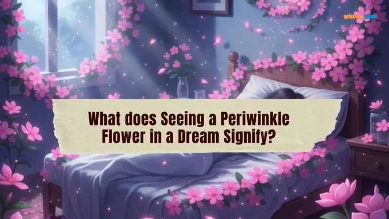 Seeing a Periwinkle Flower in a Dream
