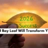Bay Leaf Remedy For 2026