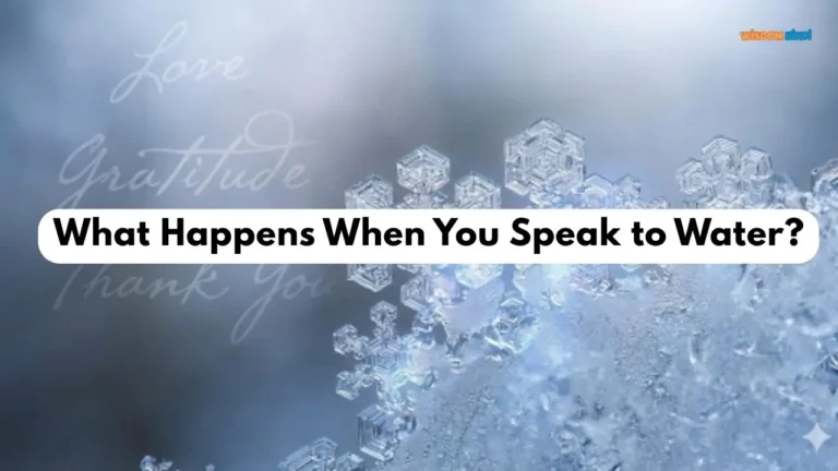 Masaru Emoto Water Experiment