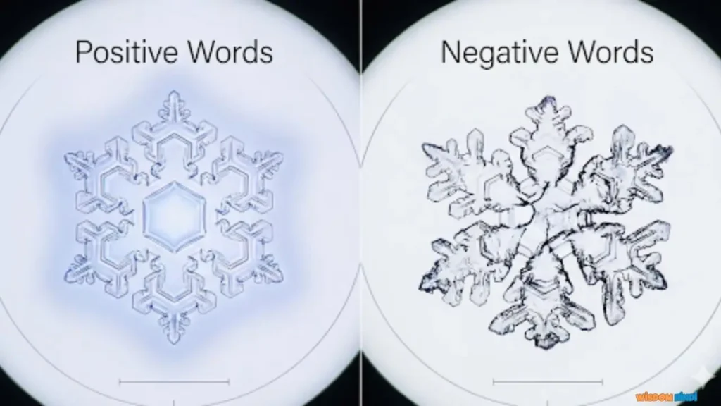Masaru Emoto Water Experiment Images