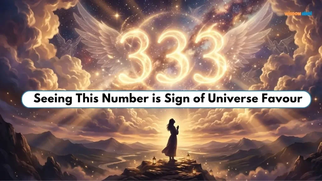 333 Angel Number Meaning