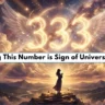 333 Angel Number Meaning