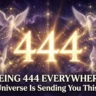 444 Angel Number Meaning Manifestation