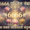 6666 Angel Number Meaning in Hindi 