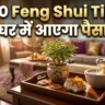 Feng Shui for Money Hindi