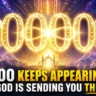 Angel Number 0000