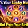 Lucky Number Numerology